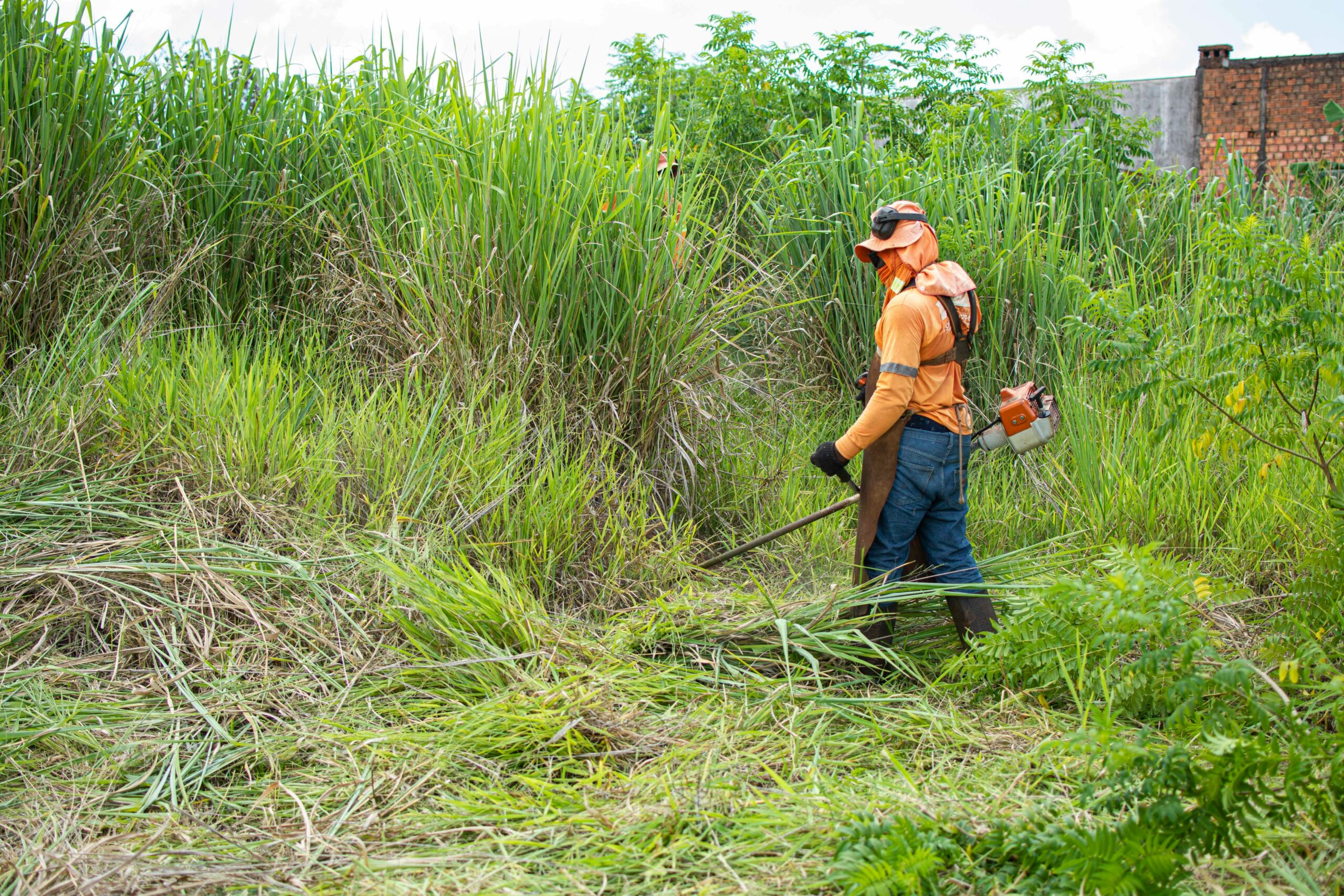 A worker wearing protective gear trims tall grass in a lush field in Londrina, Brazil.